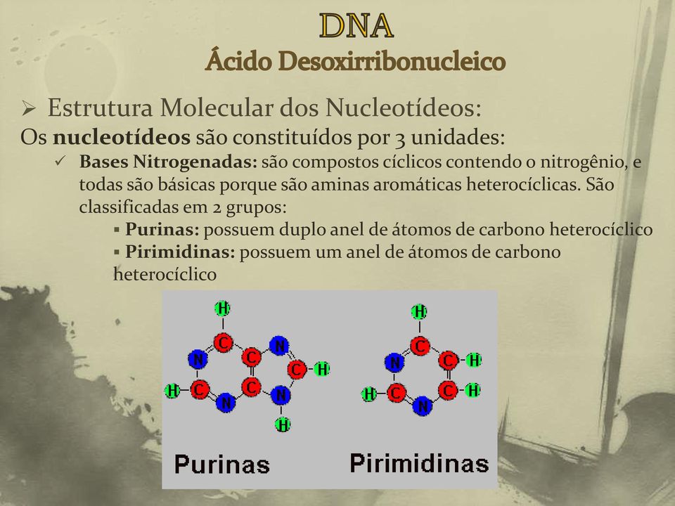 aminas aromáticas heterocíclicas.