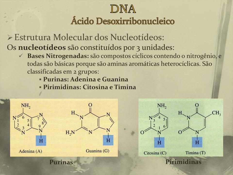 todas são básicas porque são aminas aromáticas heterocíclicas.