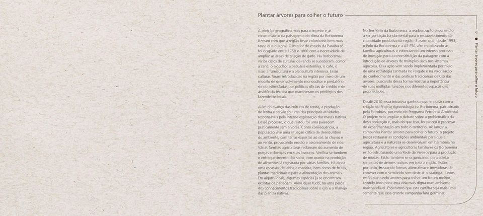 Na Borborema, vários ciclos de culturas de renda se sucederam, como a cana, o algodão, a pecuária extensiva, o café, o sisal, a fumicultura e a olericultura intensiva.