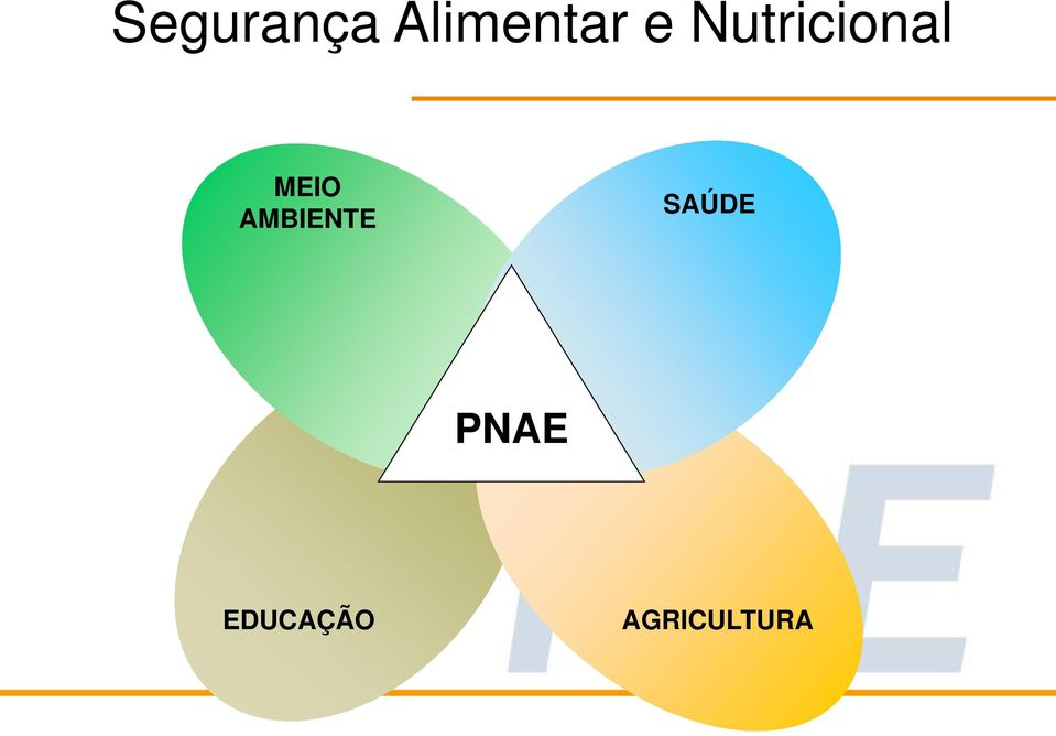 AMBIENTE SAÚDE PNAE