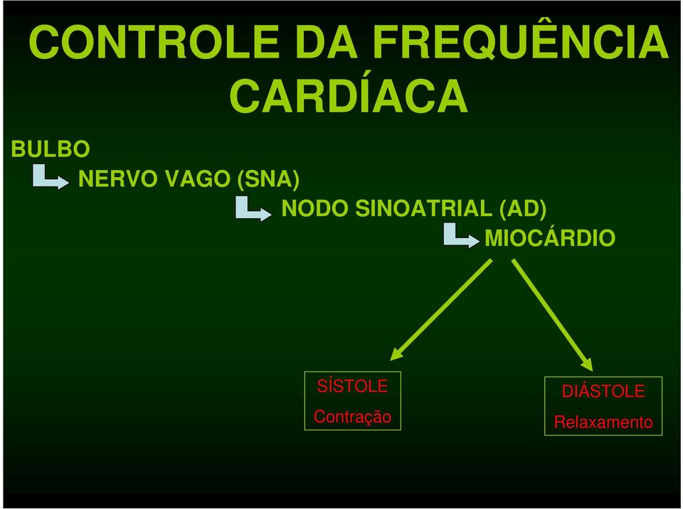 (SNA) NODO SINOATRIAL (AD)