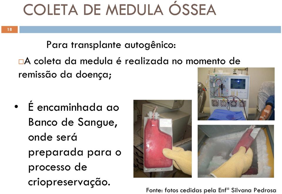 encaminhada ao Banco de Sangue, onde será preparada para o