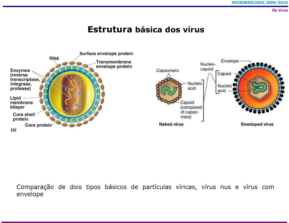 básicos de partículas