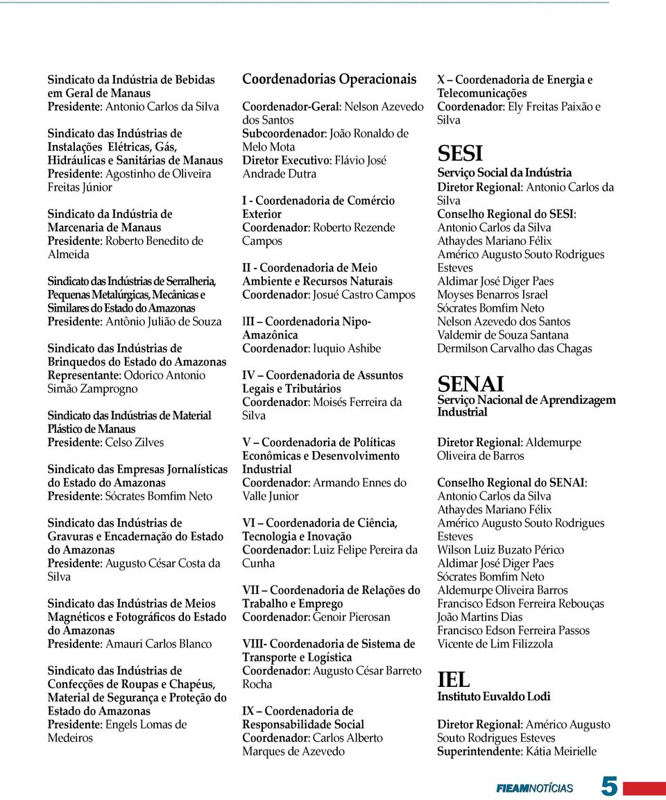 Similares do Estado do Amazonas Presidente: Antônio Julião de Souza Sindicato das Indústrias de Brinquedos do Estado do Amazonas Representante: Odorico Antonio Simão Zamprogno Sindicato das