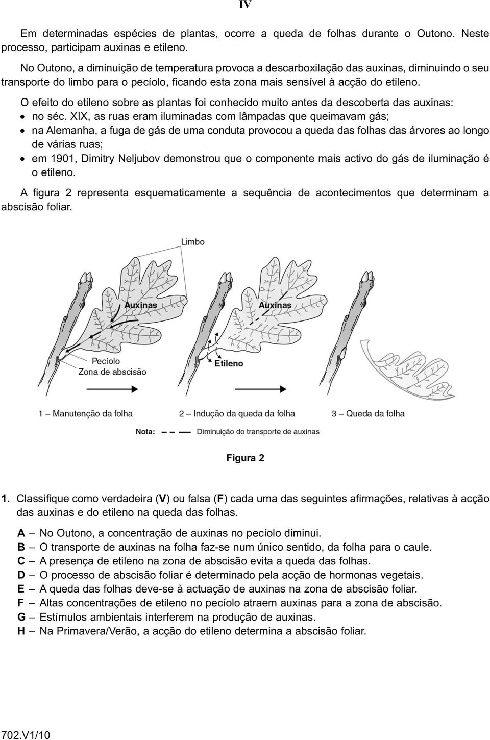 O efeito do etileno sobre as plantas foi conhecido muito antes da descoberta das auxinas: no séc.