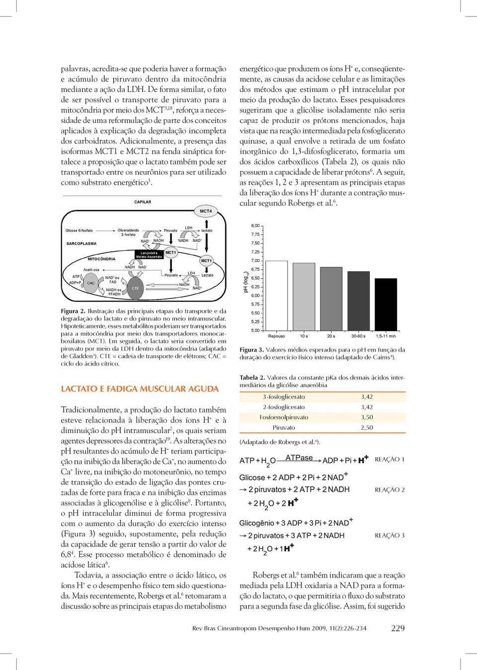 degradação incompleta dos carboidratos.