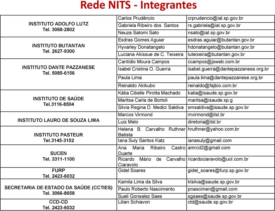 2423-6032 Rede NITS - Integrantes Carlos Prudêncio Gabriela Ribeiro dos Santos Neuza Satomi Sato Esdras Gomes Aguiar Hyvarley Donatangelo Luciana Akissue de C.