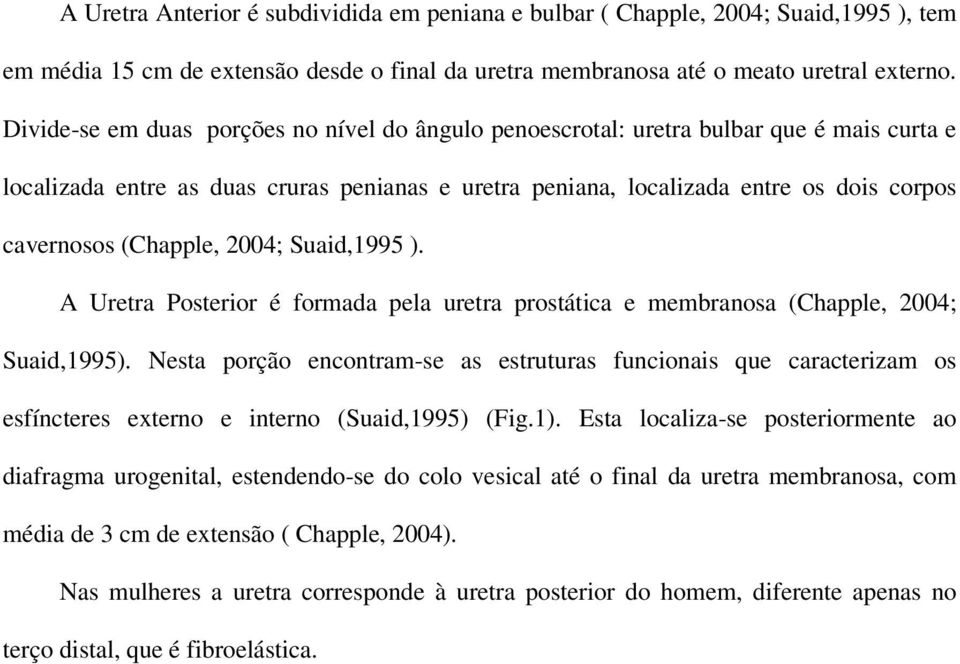 (Chapple, 2004; Suaid,1995 ). A Uretra Posterior é formada pela uretra prostática e membranosa (Chapple, 2004; Suaid,1995).