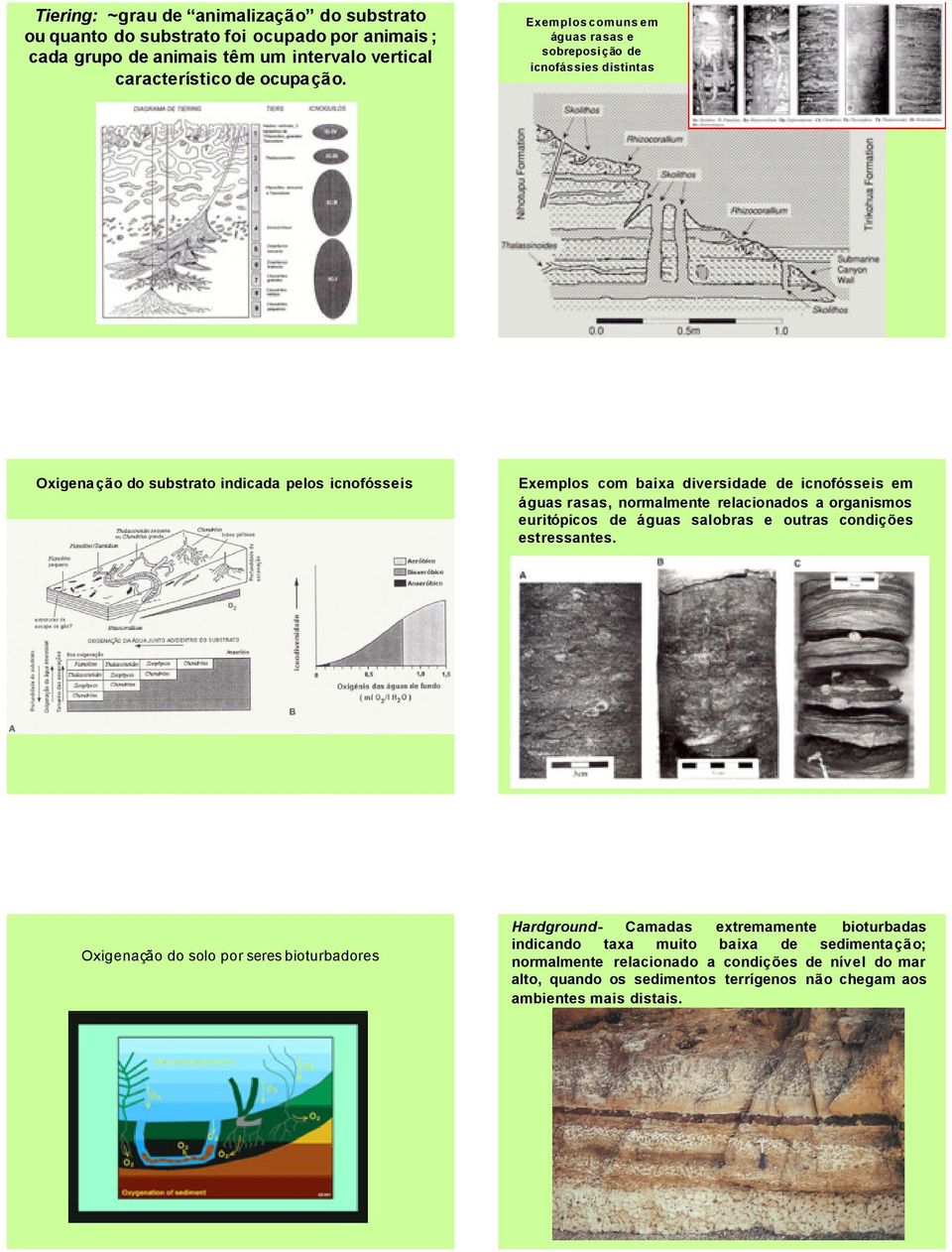 rasas, normalmente relacionados a organismos euritópicos de águas salobras e outras condições estressantes.