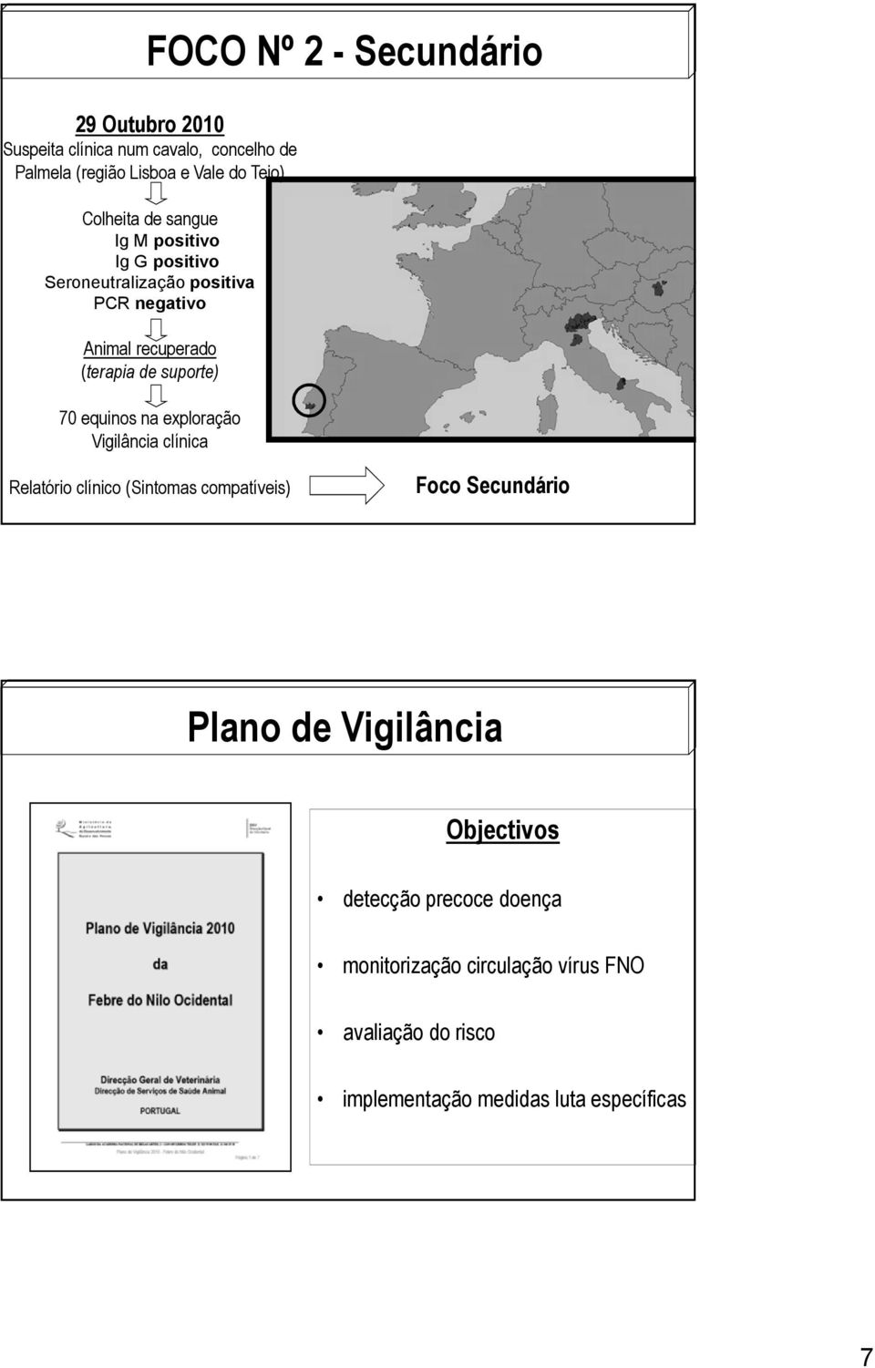 suporte) 70 equinos na exploração Vigilância clínica Relatório clínico (Sintomas compatíveis) Foco Secundário Plano de