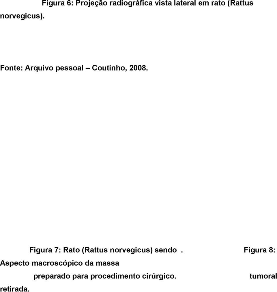 Fonte: Arquivo pessoal Coutinho, 2008.