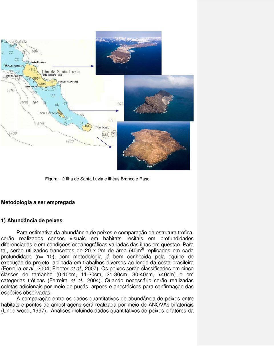 Para tal, serão utilizados transectos de 20 x 2m de área (40m 2) replicados em cada profundidade (n= 10), com metodologia já bem conhecida pela equipe de execução do projeto, aplicada em trabalhos