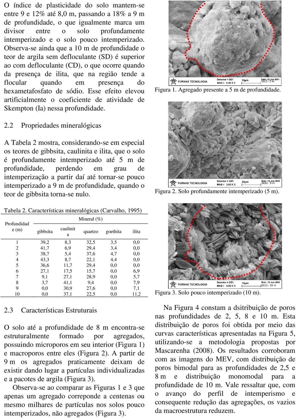 Observa-se ainda que a 10 m de profundidade o teor de argila sem defloculante (SD) é superior ao com defloculante (CD), o que ocorre quando da presença de ilita, que na região tende a flocular quando