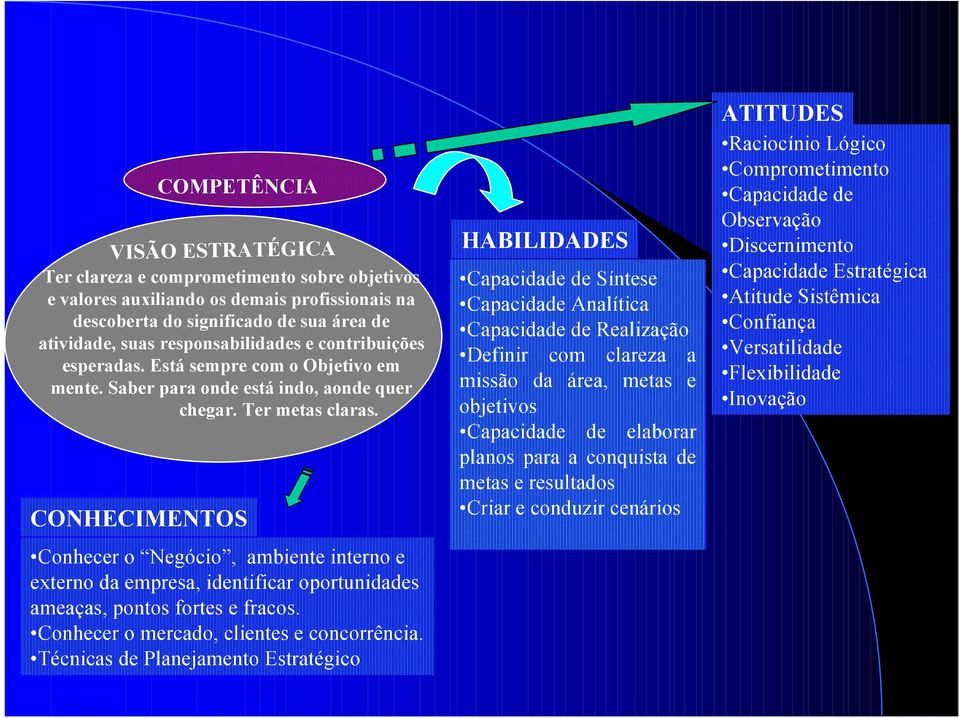 CONHECIMENTOS Conhecer o Negócio, ambiente interno e externo da empresa, identificar oportunidades ameaças, pontos fortes e fracos. Conhecer o mercado, clientes e concorrência.