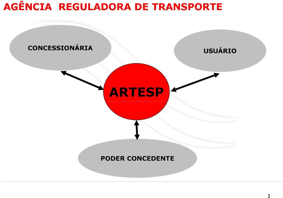 CONCESSIONÁRIA