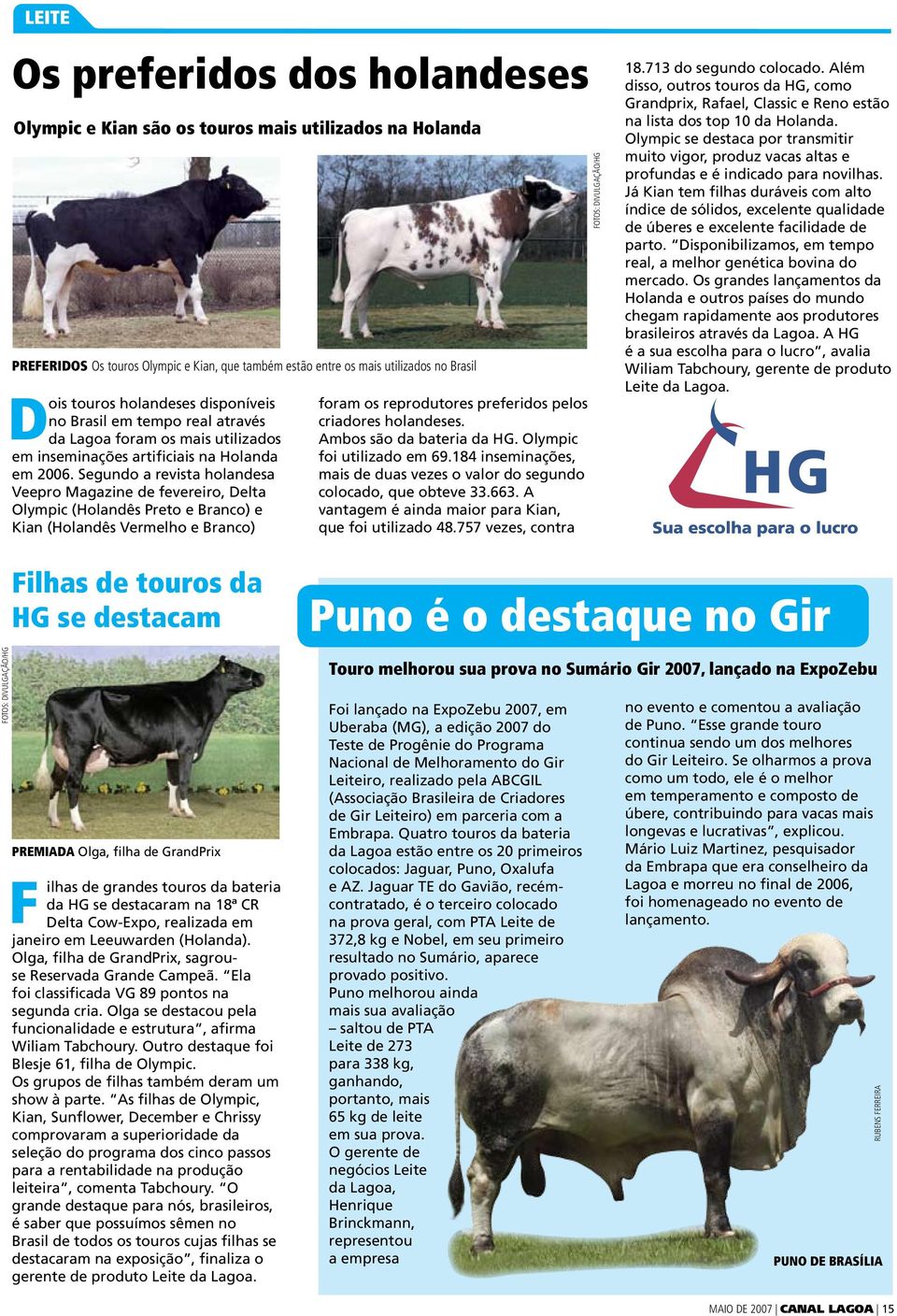 Segundo a revista holandesa Veepro Magazine de fevereiro, Delta Olympic (Holandês Preto e Branco) e Kian (Holandês Vermelho e Branco) foram os reprodutores preferidos pelos criadores holandeses.