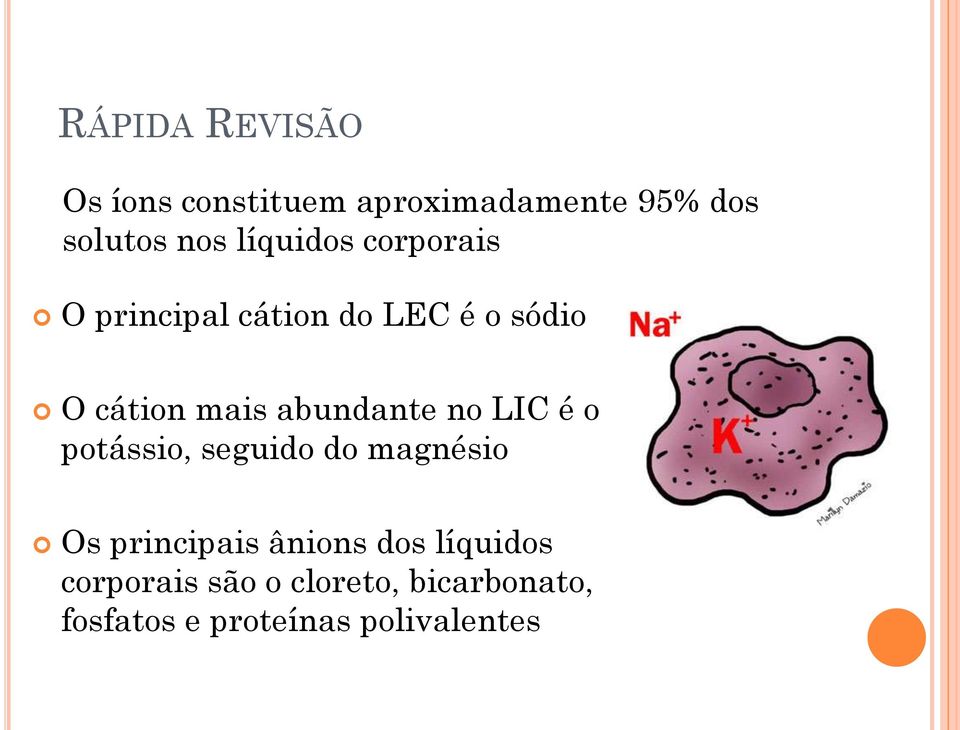 abundante no LIC é o potássio, seguido do magnésio Os principais ânions