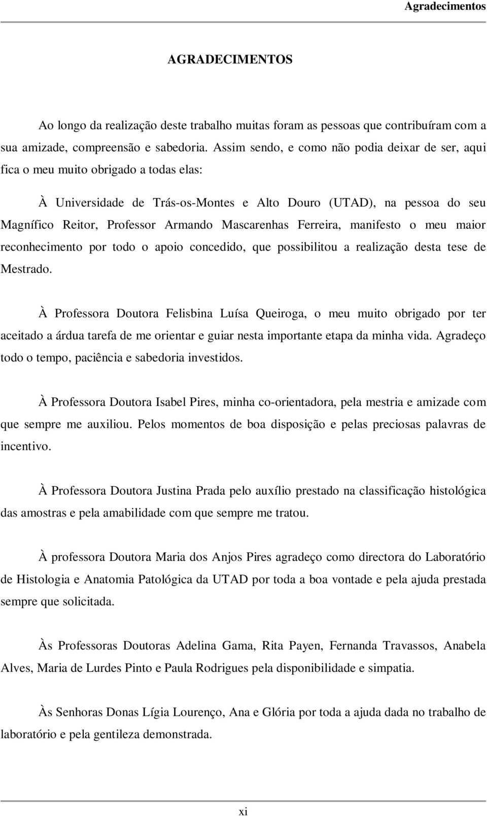 Mascarenhas Ferreira, manifesto o meu maior reconhecimento por todo o apoio concedido, que possibilitou a realização desta tese de Mestrado.