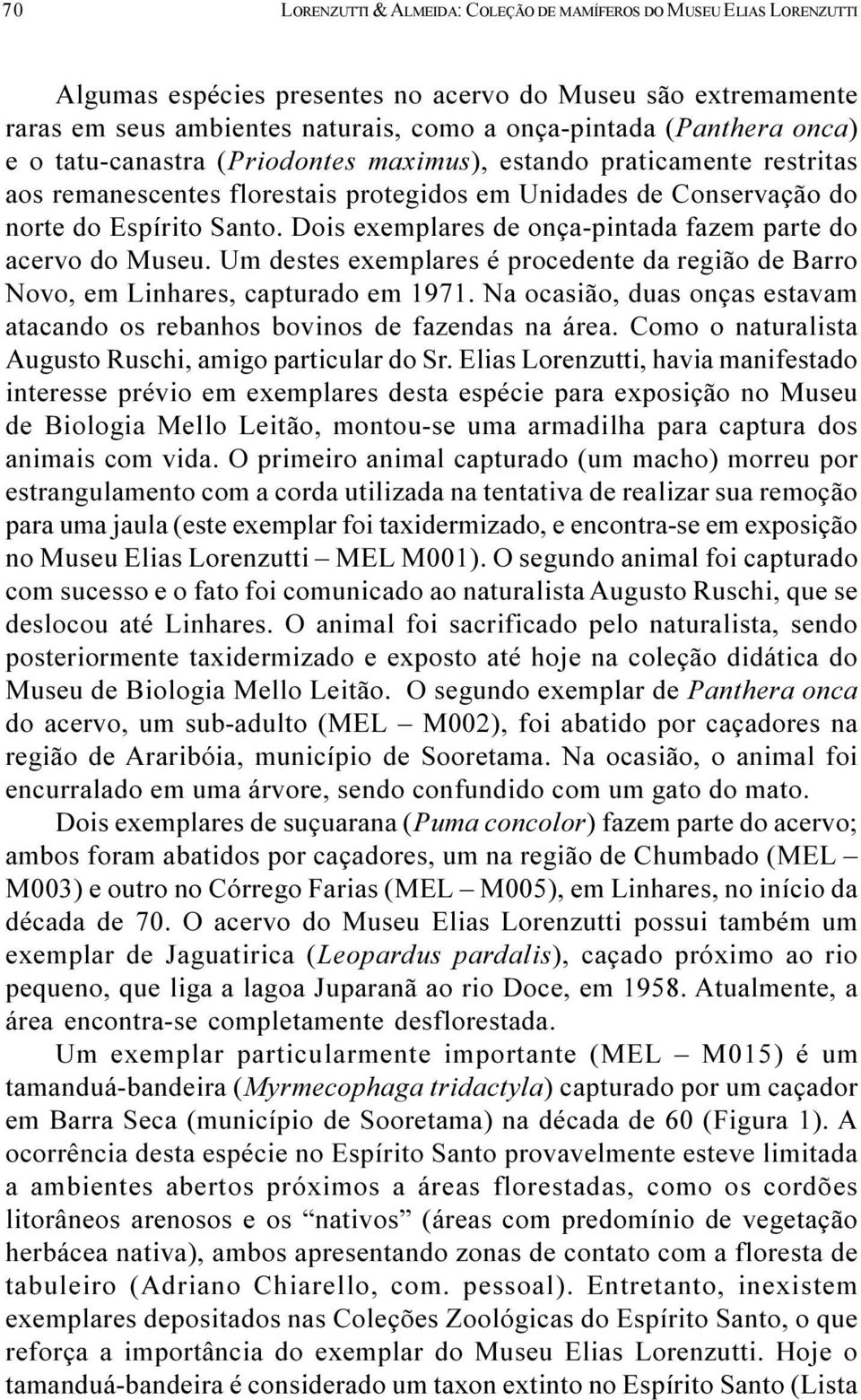 onça-pintada fazem parte do acervo do Museu Um destes exemplares é procedente da região de Barro Novo, em Linhares, capturado em 1971 Na ocasião, duas onças estavam atacando os rebanhos bovinos de