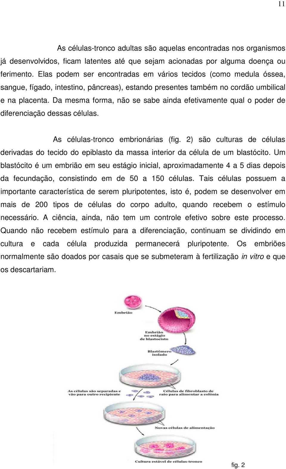 Da mesma forma, não se sabe ainda efetivamente qual o poder de diferenciação dessas células. As células-tronco embrionárias (fig.