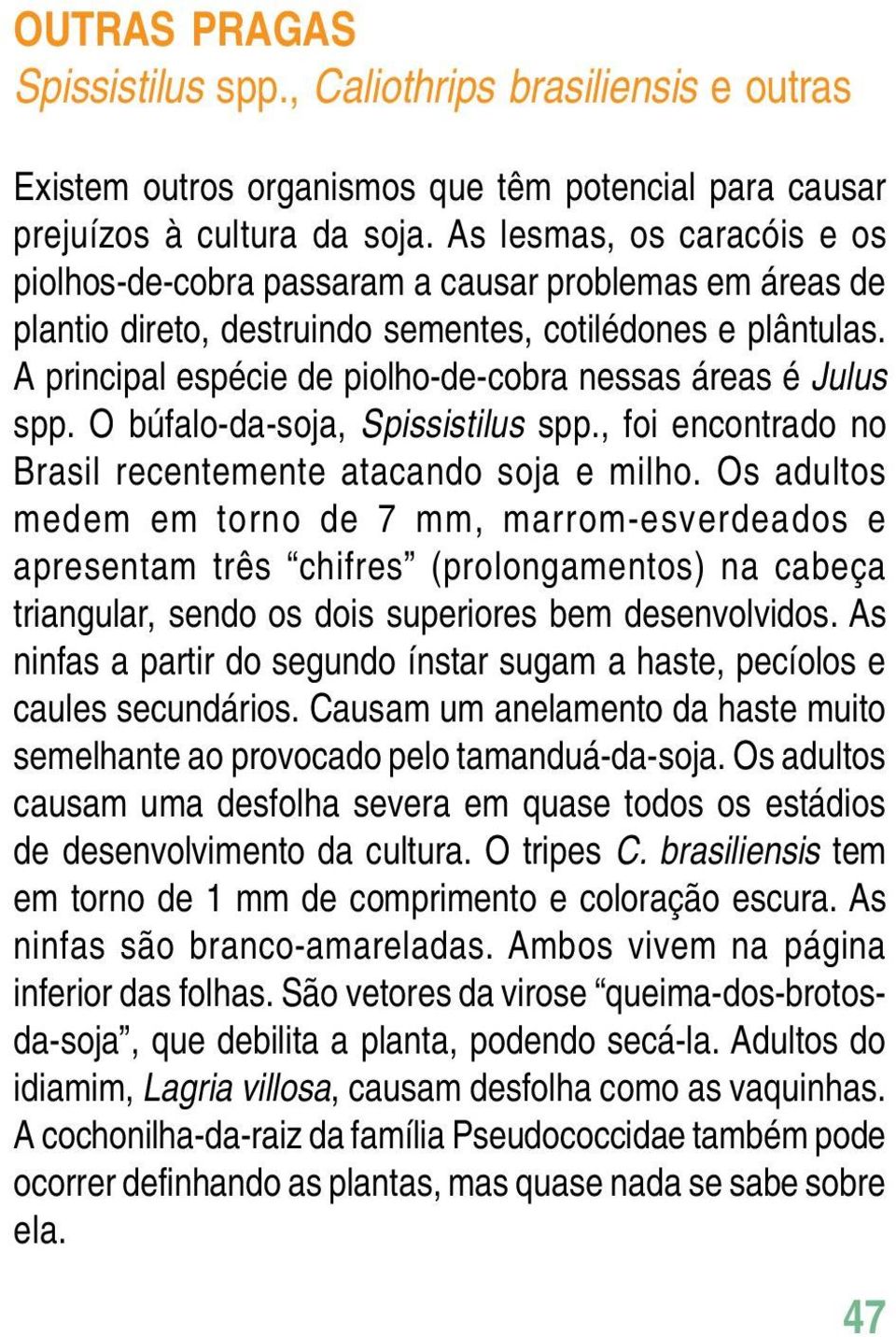 A principal espécie de piolho-de-cobra nessas áreas é Julus spp. O búfalo-da-soja, Spissistilus spp., foi encontrado no Brasil recentemente atacando soja e milho.