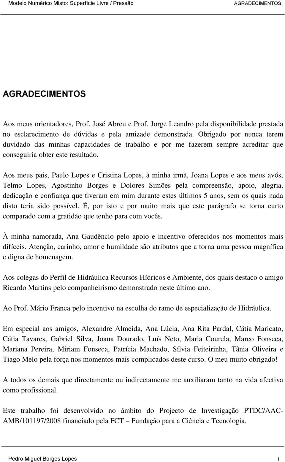 Aos meus pais, Paulo Lopes e Cristina Lopes, à minha irmã, Joana Lopes e aos meus avós, Telmo Lopes, Agostinho Borges e Dolores Simões pela compreensão, apoio, alegria, dedicação e confiança que