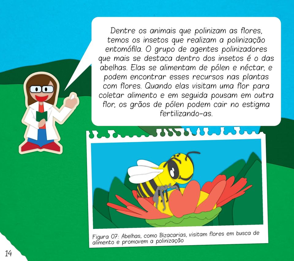 Elas se alimentam de pólen e néctar, e podem encontrar esses recursos nas plantas com flores.