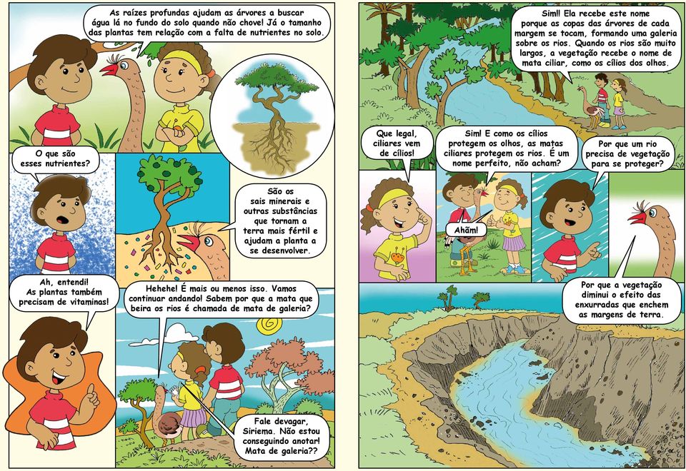 Quando os rios são muito largos, a vegetação recebe o nome de mata ciliar, como os cílios dos olhos. O que são esses nutrientes? Que legal, ciliares vem de cílios! Sim!