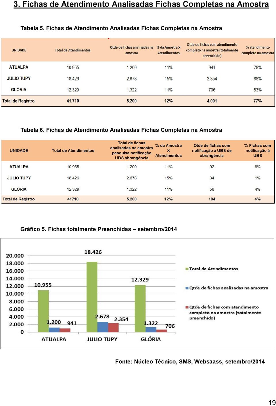 Fichas de Atendimento Analisadas Fichas Completas na Amostra Gráfico 5.