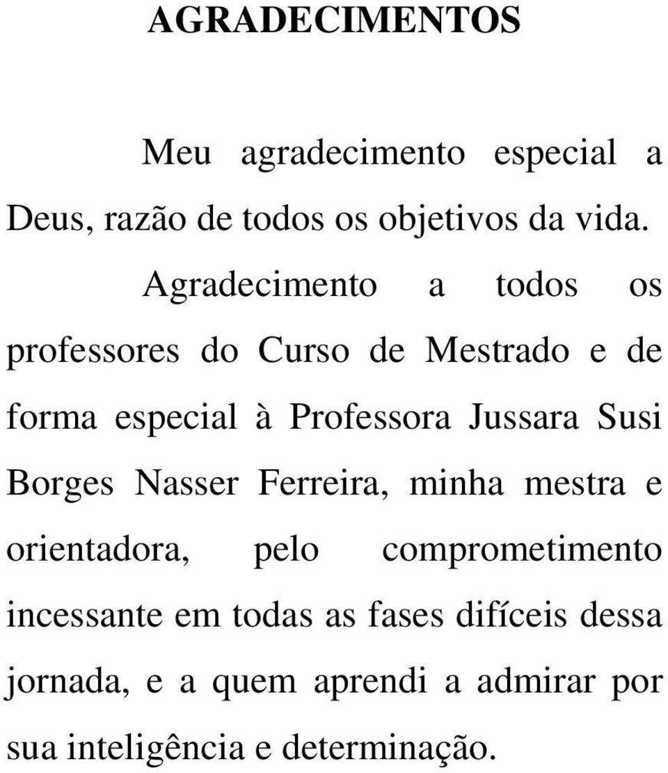 Jussara Susi Borges Nasser Ferreira, minha mestra e orientadora, pelo comprometimento