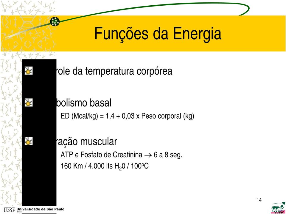 corporal (kg) Contração muscular ATP e Fosfato de