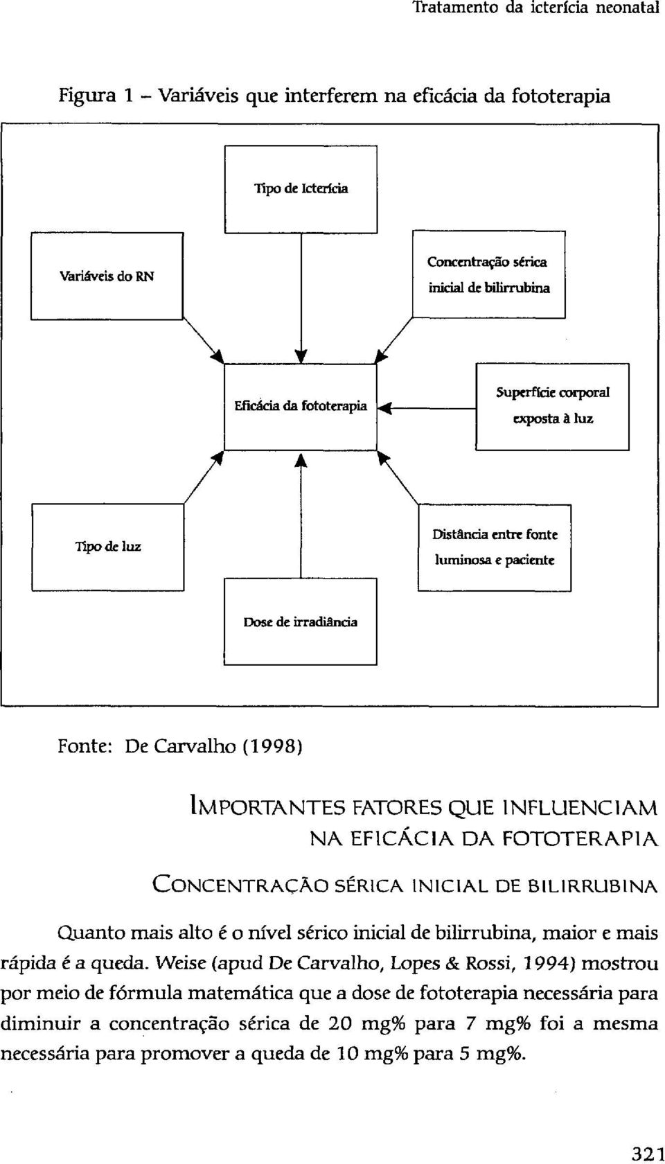 bilirrubina, maior e mais rápida é a queda.