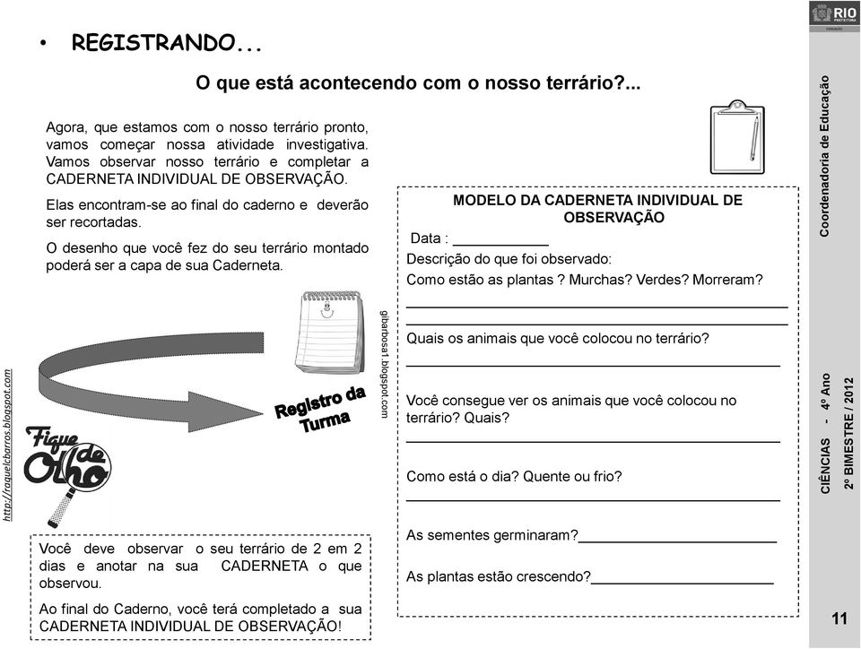 O desenho que você fez do seu terrário montado poderá ser a capa de sua Caderneta. Você deve observar o seu terrário de 2 em 2 dias e anotar na sua CADERNETA o que observou.