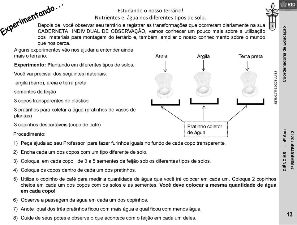 para montagem do terrário e, também, ampliar o nosso conhecimento sobre o mundo que nos cerca. Alguns experimentos vão nos ajudar a entender ainda mais o terrário.