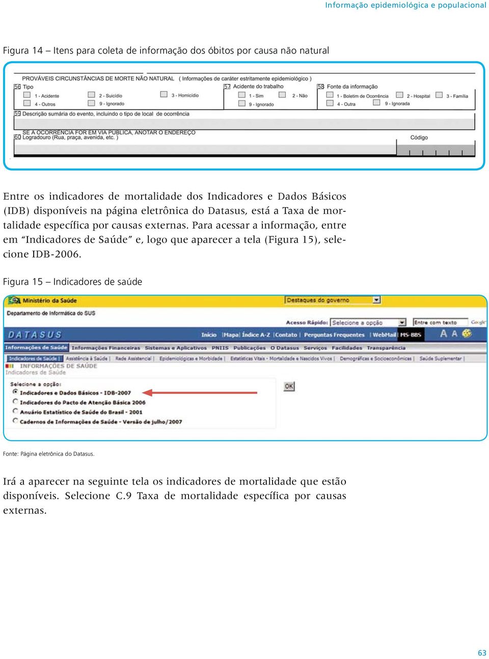 Para acessar a informação, entre em Indicadores de Saúde e, logo que aparecer a tela (Figura 15), selecione IDB-2006.