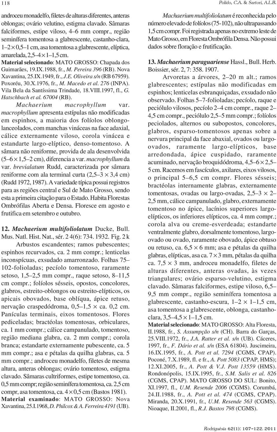 Material selecionado: MATO GROSSO: Chapada dos Guimarães, 19.IX.1988, fr., M. Pereira 396 (RB). Nova Xavantina, 25.IX.1949, fr., J.E. Oliveira s/n (RB 67959). Poxoréu, 30.X.1976, fr., M. Macedo et al.