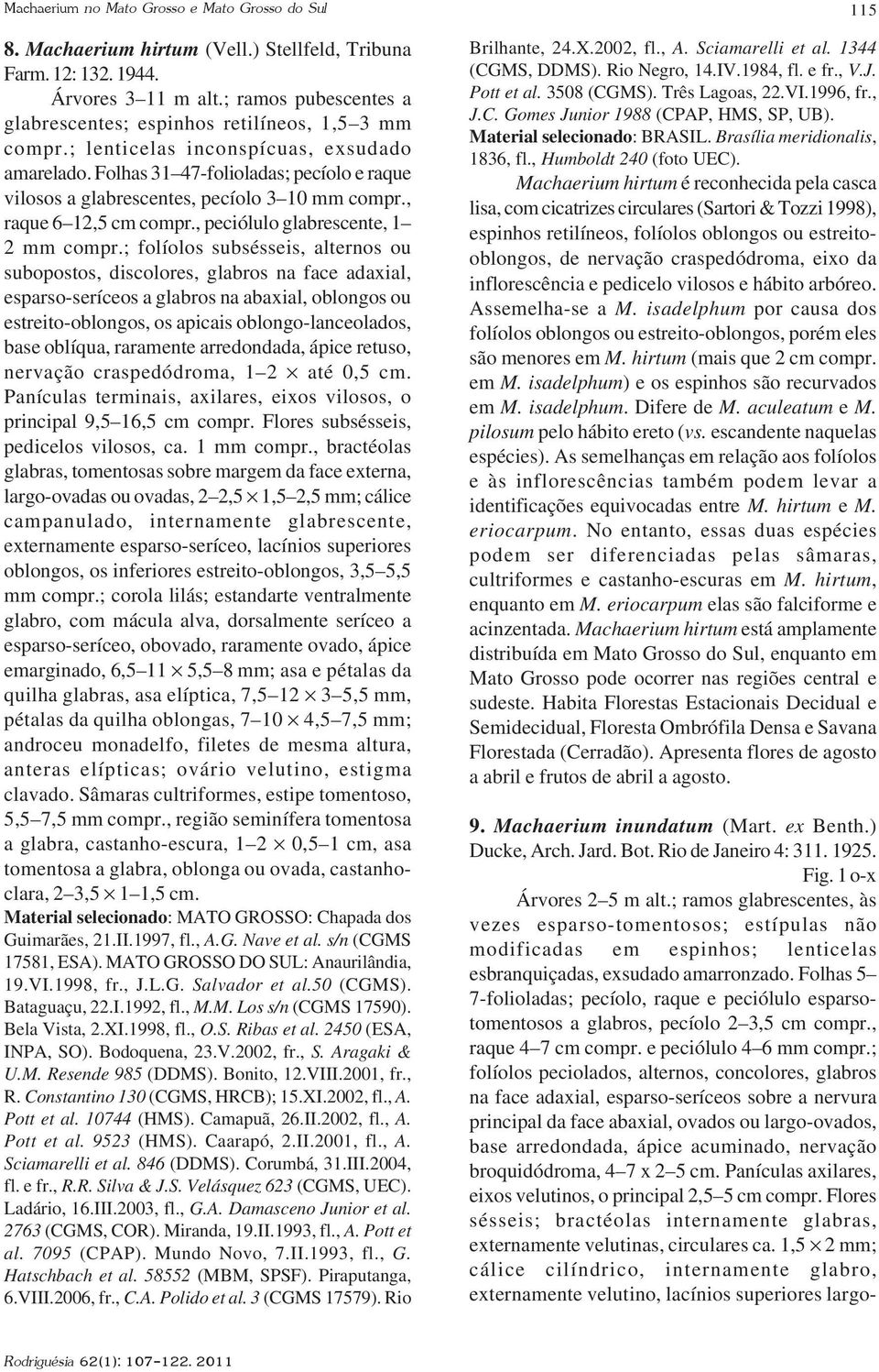 Folhas 31 47-folioladas; pecíolo e raque vilosos a glabrescentes, pecíolo 3 10 mm compr., raque 6 12,5 cm compr., peciólulo glabrescente, 1 compr.