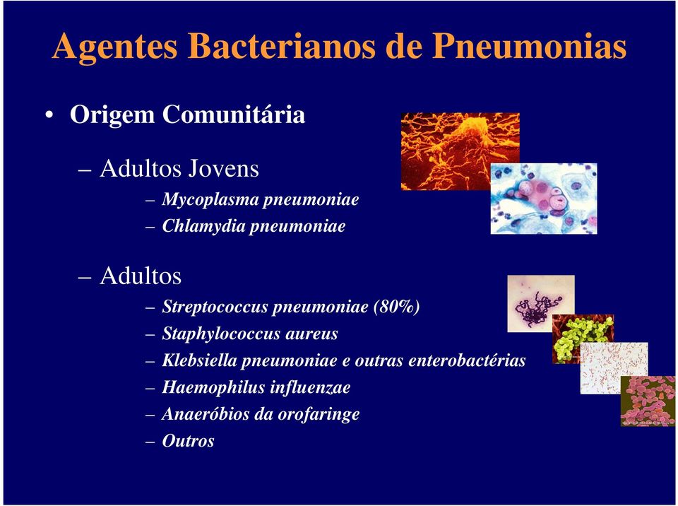 pneumoniae (80%) Staphylococcus aureus Klebsiella pneumoniae e