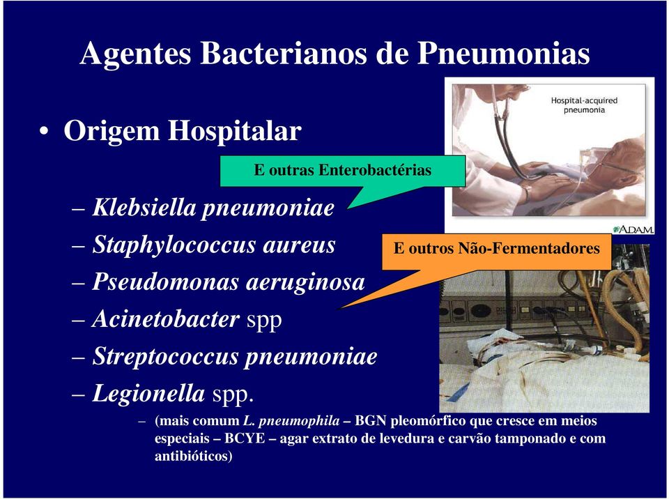 E outras Enterobactérias E outros Não-Fermentadores (mais comum L.