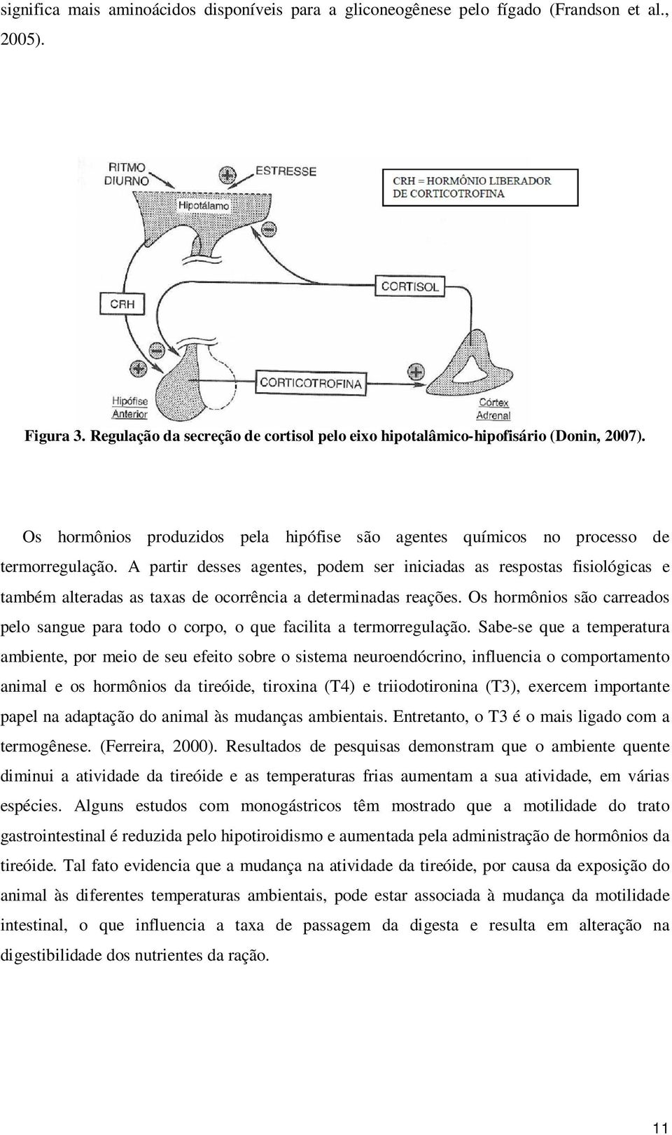 A partir desses agentes, podem ser iniciadas as respostas fisiológicas e também alteradas as taxas de ocorrência a determinadas reações.