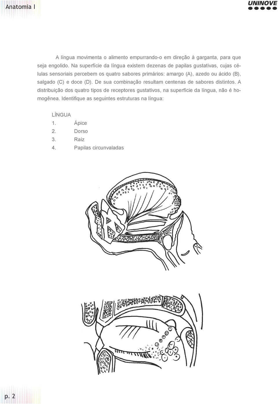 (A), azedo ou ácido (B), salgado (C) e doce (D). De sua combinação resultam centenas de sabores distintos.