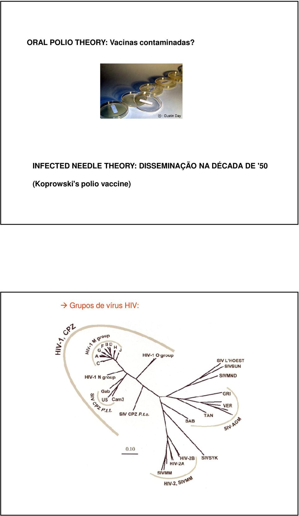 INFECTED NEEDLE THEORY: DISSEMINAÇÃO