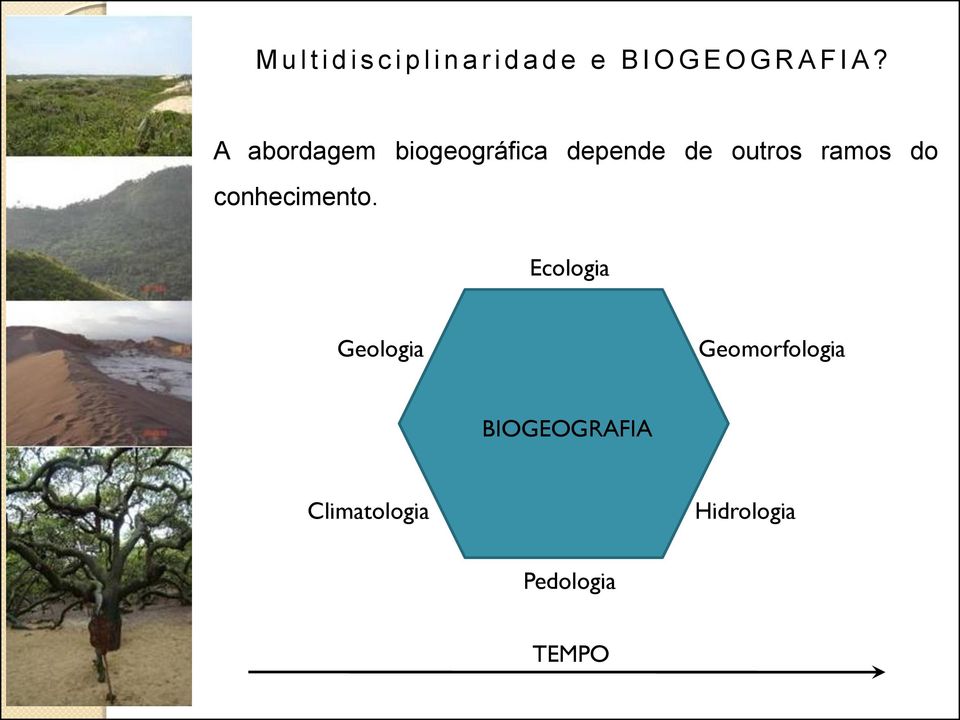 A abordagem biogeográfica depende conhecimento.