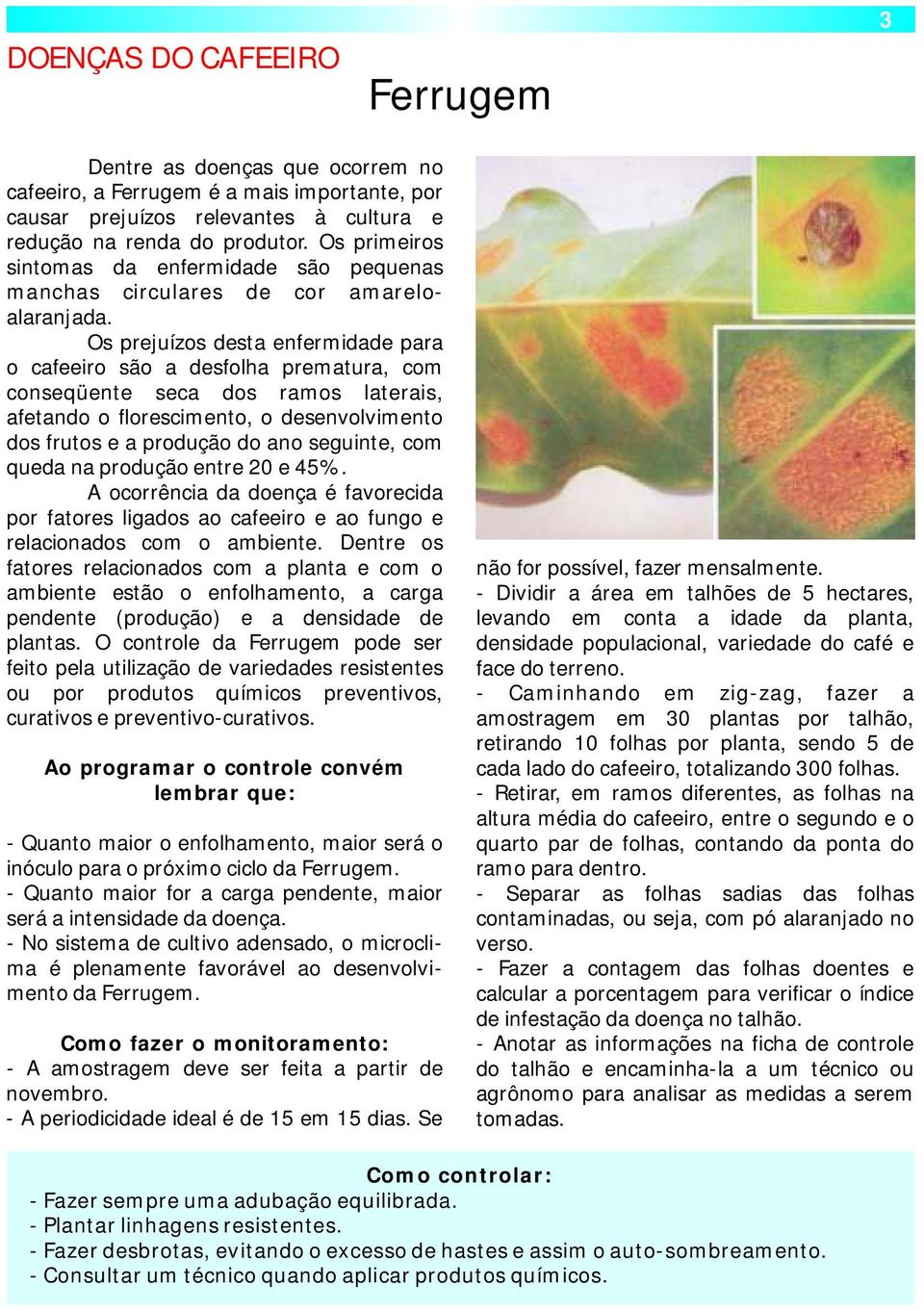 Os prejuízos desta enfermidade para o cafeeiro são a desfolha prematura, com conseqüente seca dos ramos laterais, afetando o florescimento, o desenvolvimento dos frutos e a produção do ano seguinte,