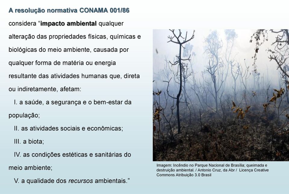 a saúde, a segurança e o bem-estar da população; II. as atividades sociais e econômicas; III. a biota; IV.