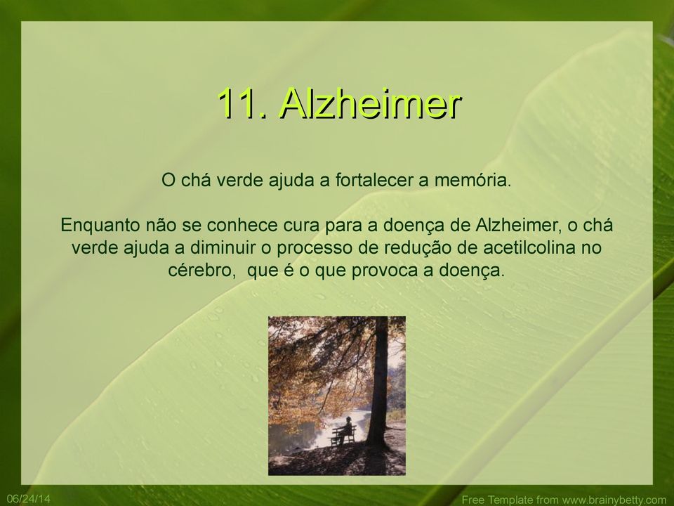 Alzheimer, o chá verde ajuda a diminuir o processo de