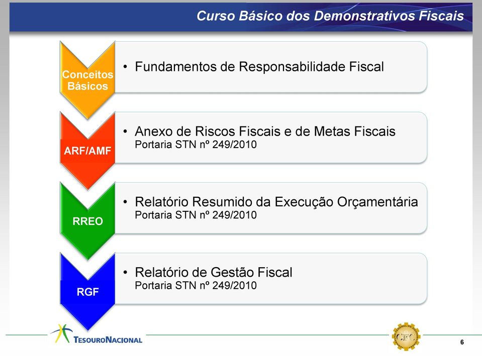 Fiscais Portaria STN nº 249/2010 Relatório Resumido da Execução