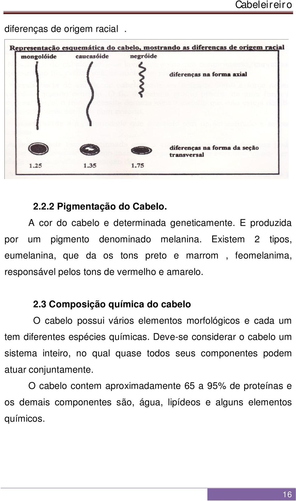 Deve-se considerar o cabelo um sistema inteiro, no qual quase todos seus componentes podem atuar conjuntamente.