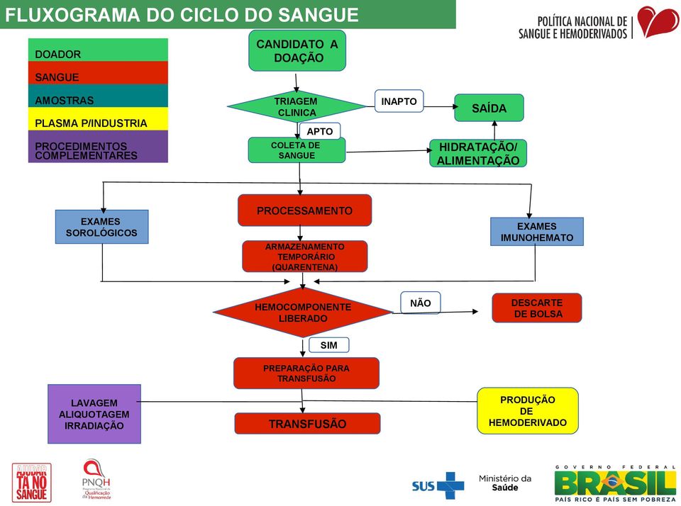 ALIMENTAÇÃO PROCESSAMENTO EXAMES IMUNOHEMATO ARMAZENAMENTO TEMPORÁRIO (QUARENTENA) HEMOCOMPONENTE LIBERADO