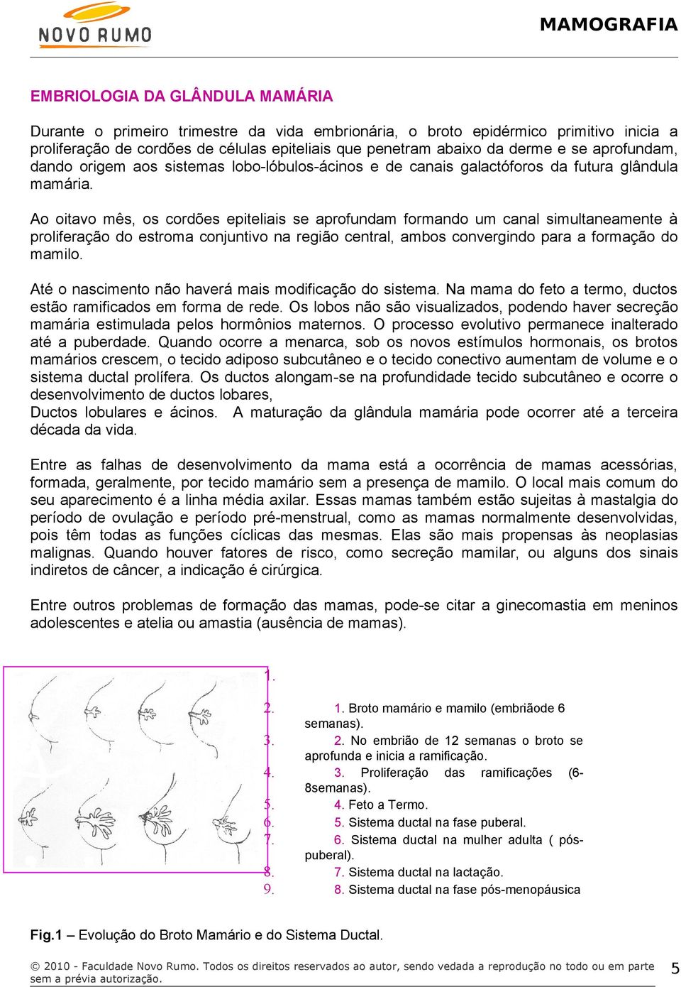 Ao oitavo mês, os cordões epiteliais se aprofundam formando um canal simultaneamente à proliferação do estroma conjuntivo na região central, ambos convergindo para a formação do mamilo.